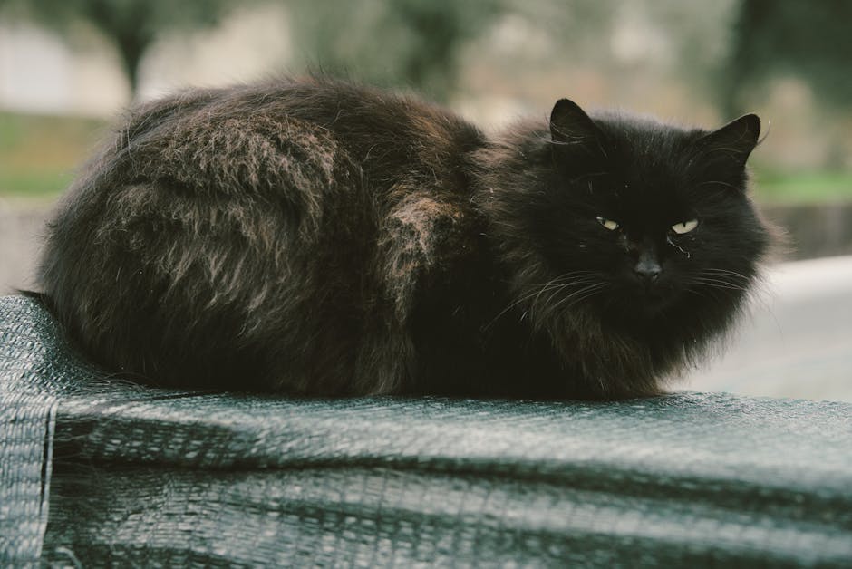 Sculptra童顏針：打造自然年輕輪廓的專業技術解析