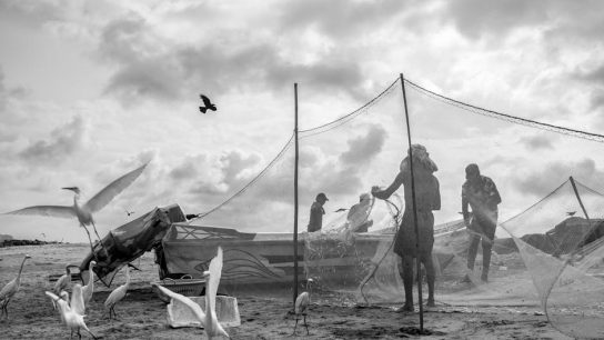 珍禽異獸醫院：守護奇珍異獸的生命奇蹟