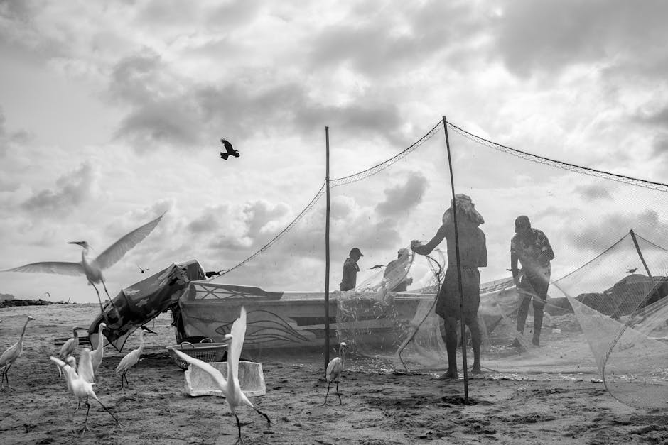 珍禽異獸醫院：守護奇珍異獸的生命奇蹟