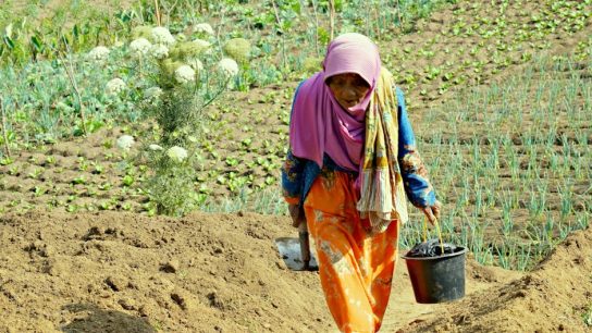 去眼袋：讓雙眼重拾神采的祕訣