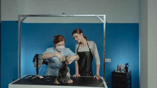 寵物美容課程的重要性與實用指南